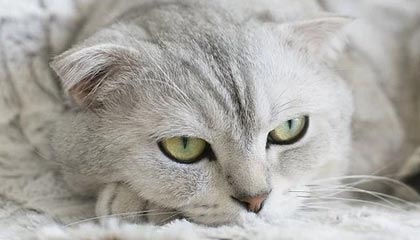 朴槿惠称尹锡悦入狱令她揪心，韩国很困难