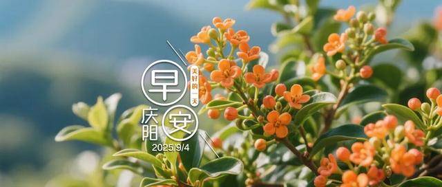 早安庆阳丨局地暴雨、冰雹或雷雨大风！甘肃将迎大范围降温降水