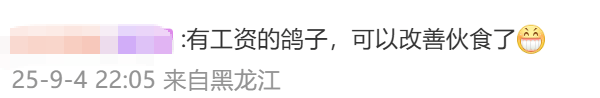 参加九三阅兵的和平鸽工资15元！网友：养鸽千日，用鸽一时