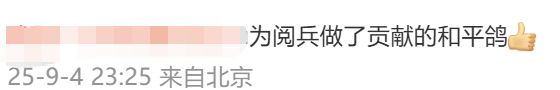 参加九三阅兵的和平鸽工资15元！网友：养鸽千日，用鸽一时