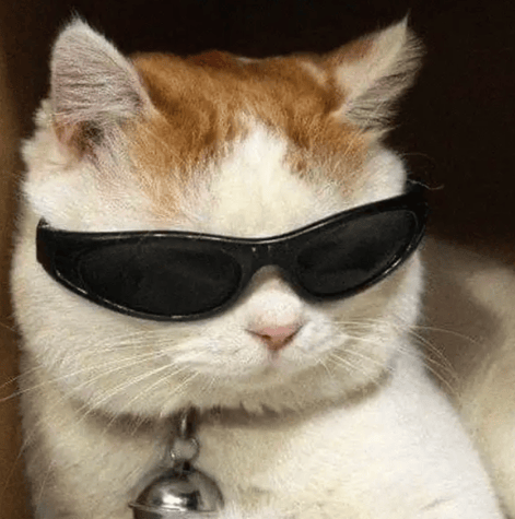 “不亚于春节回家”！凌晨5点，深圳有人已经堵在路上……