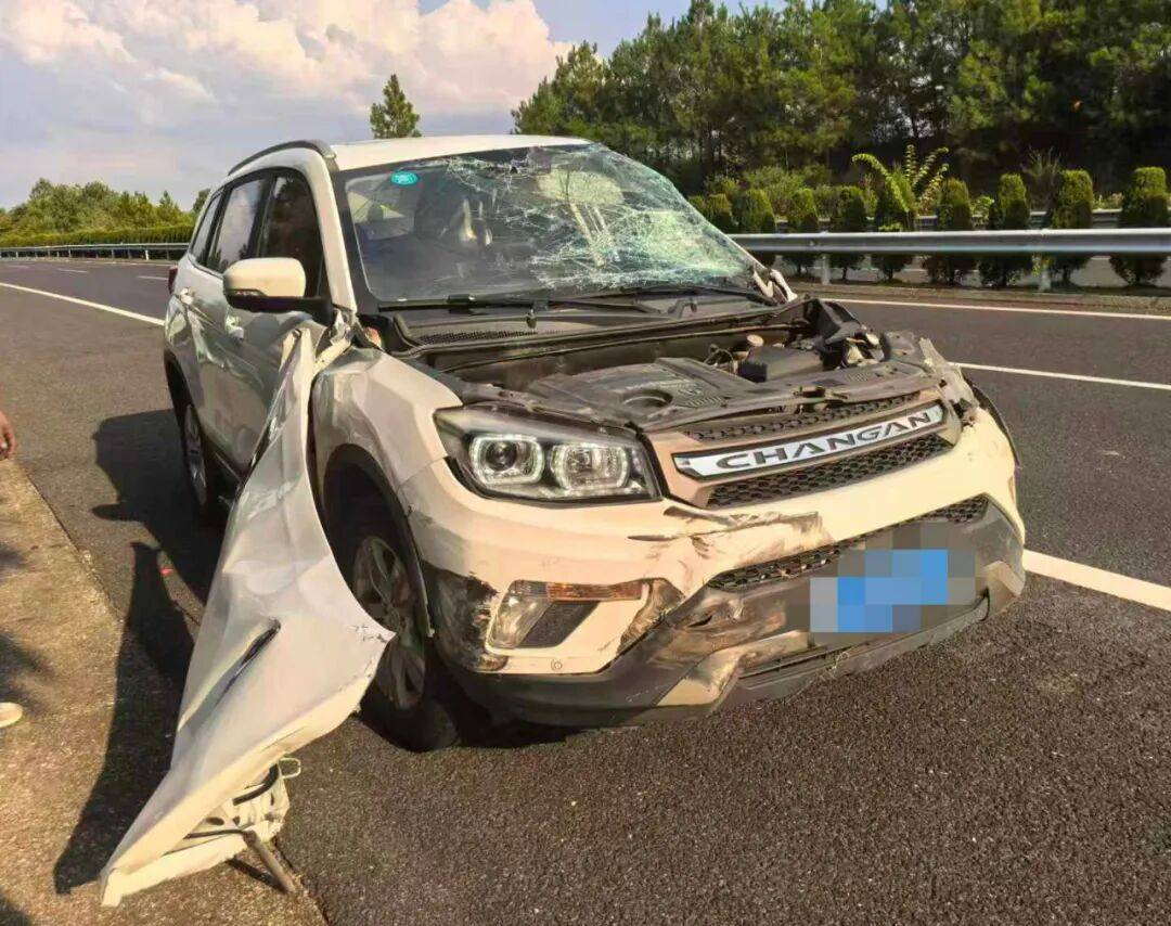 司机强行变道酿大祸,反诬赖对方:“我要是撒谎就天打雷劈!”