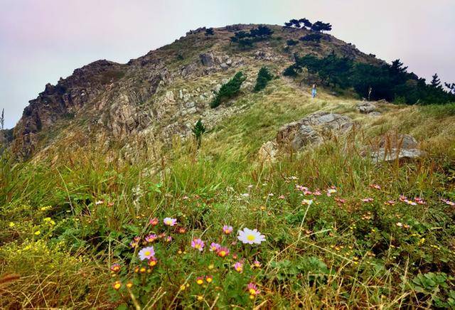 青岛“阿勒泰”爆火后,如何将“网红”变“长红”