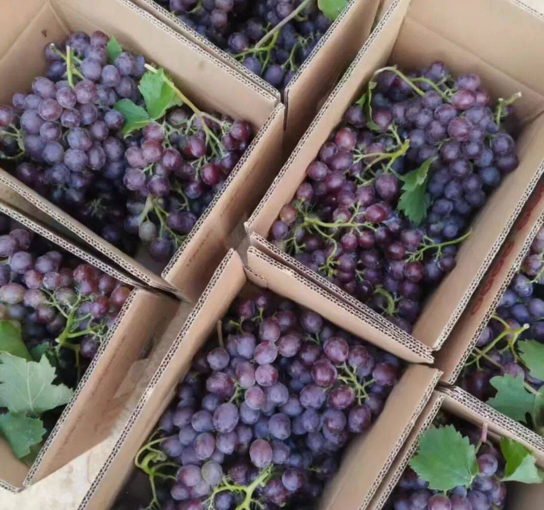 月入过万都难!00后主播逃离直播间