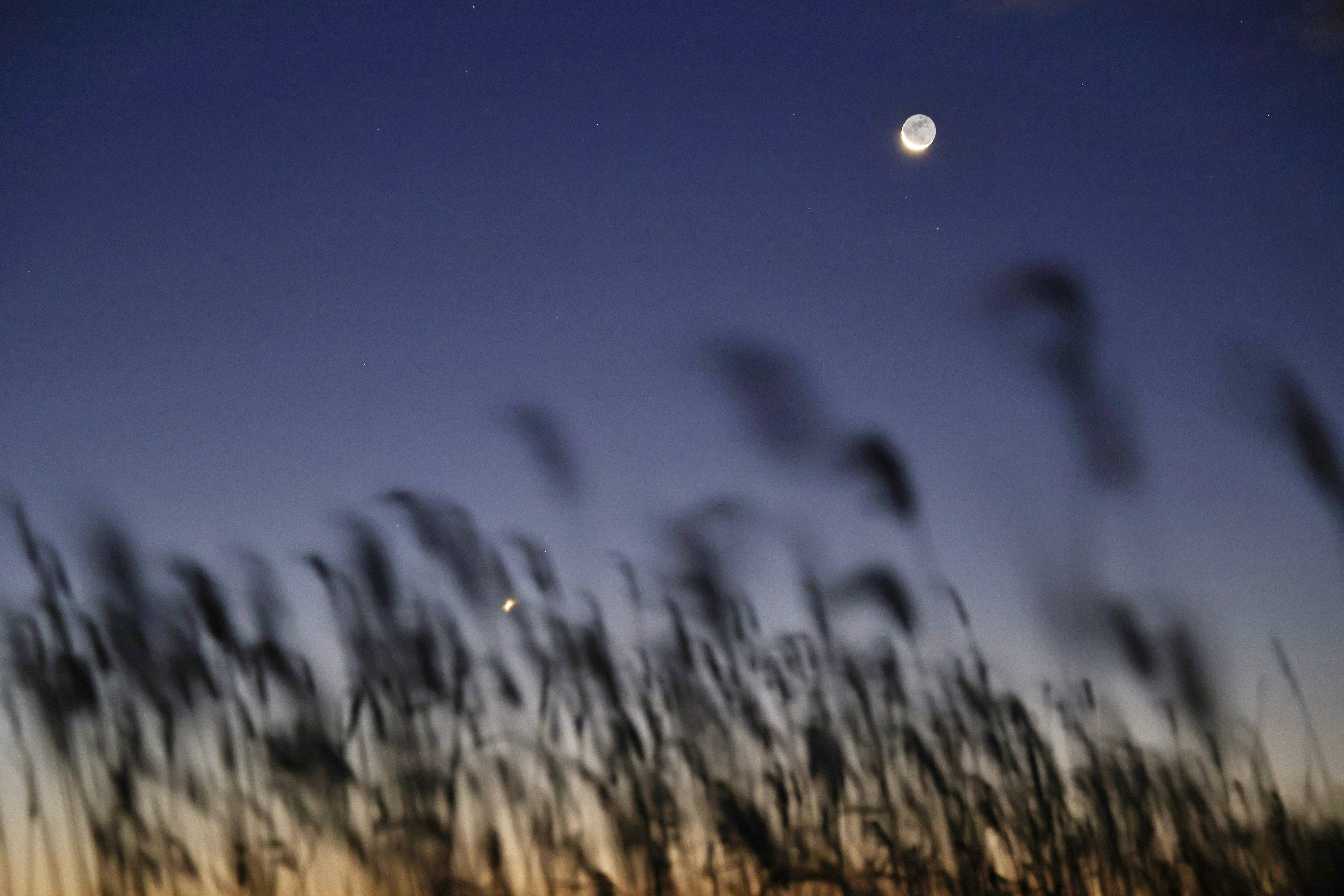 星空相册|启明星伴月现身天宇#