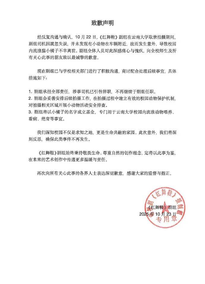 “小橘子”不幸离世,剧组凌晨紧急道歉,涉事司机引咎辞职!