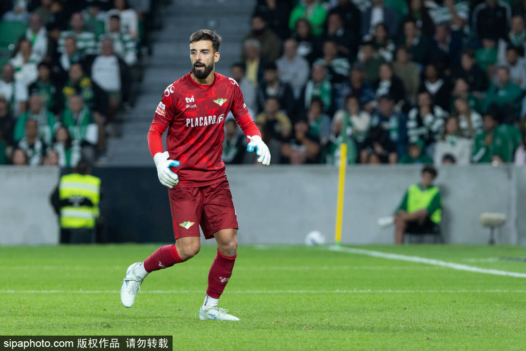 青岛海牛点球判罚再引热议：足协评议组确认判罚正确背后的真相