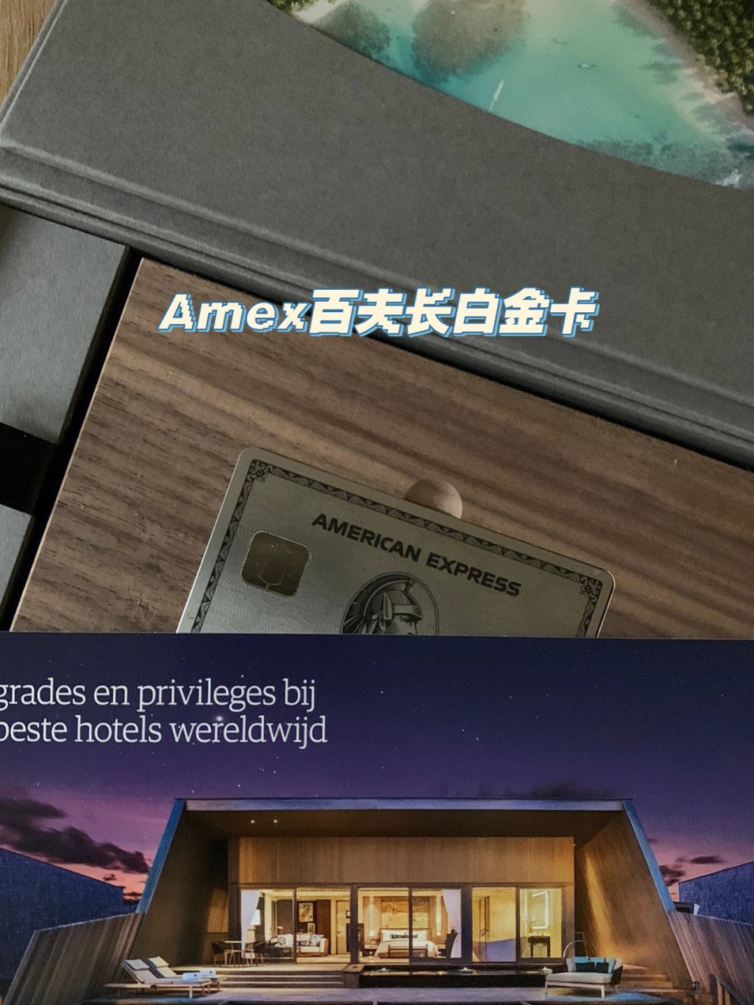 AMEX(阿么西林胶囊作用)