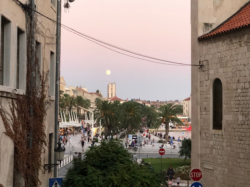 Libar(libraries翻译) Libar(libraries翻译)